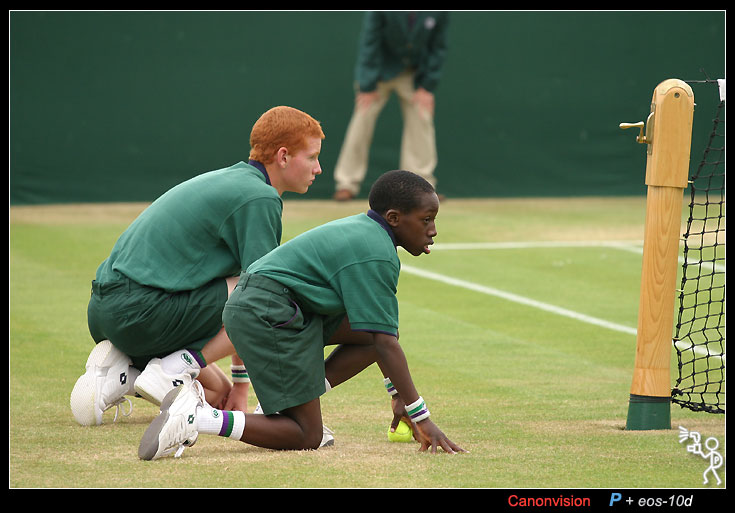 Wimbledon .jpg